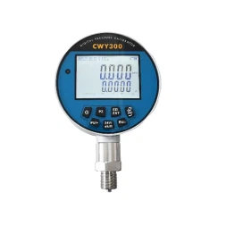CWY300 डिजिटल प्रेशर कैलिब्रेटर